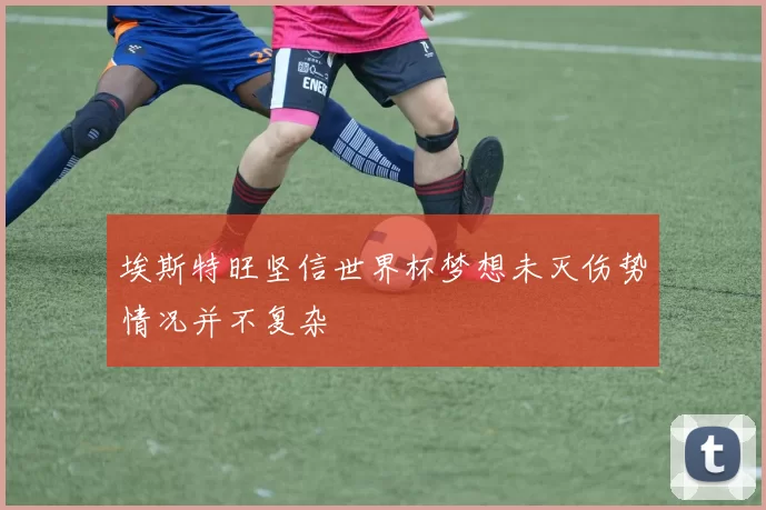 埃斯特旺坚信世界杯梦想未灭伤势情况并不复杂